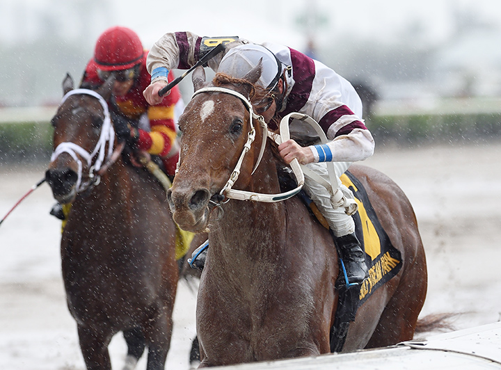 Sir Anthony wins the 2018 Harlan's Holiday
