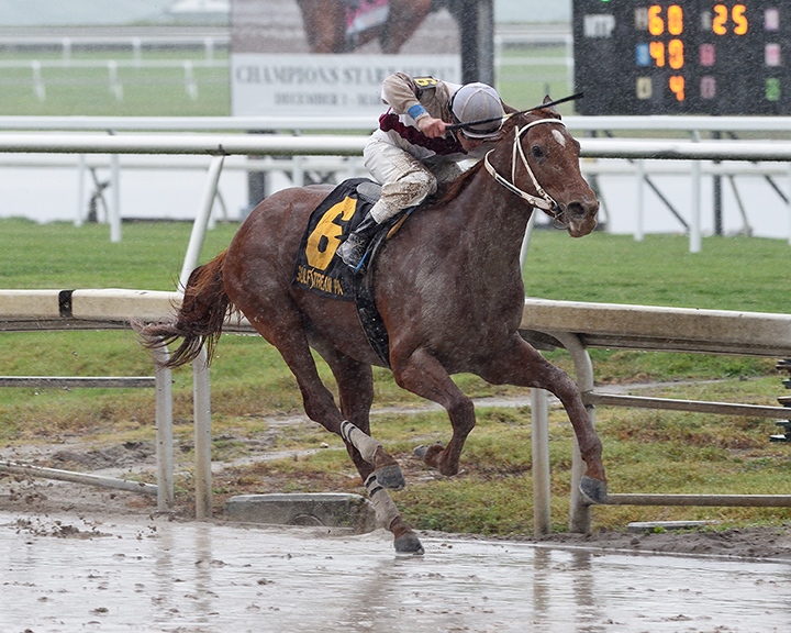 Sir Anthony wins the Harlan-s Holiday