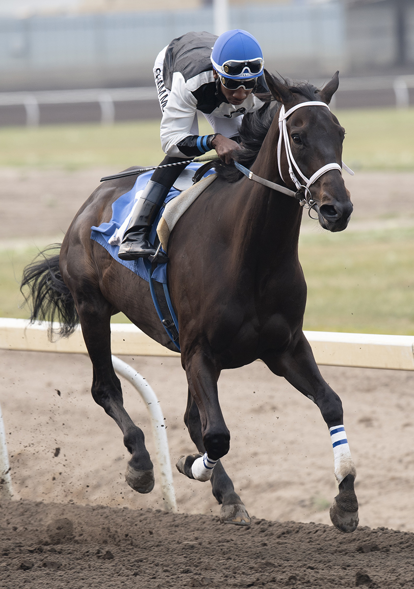 Sir Bronx wins the 2018 Westerner Stakes