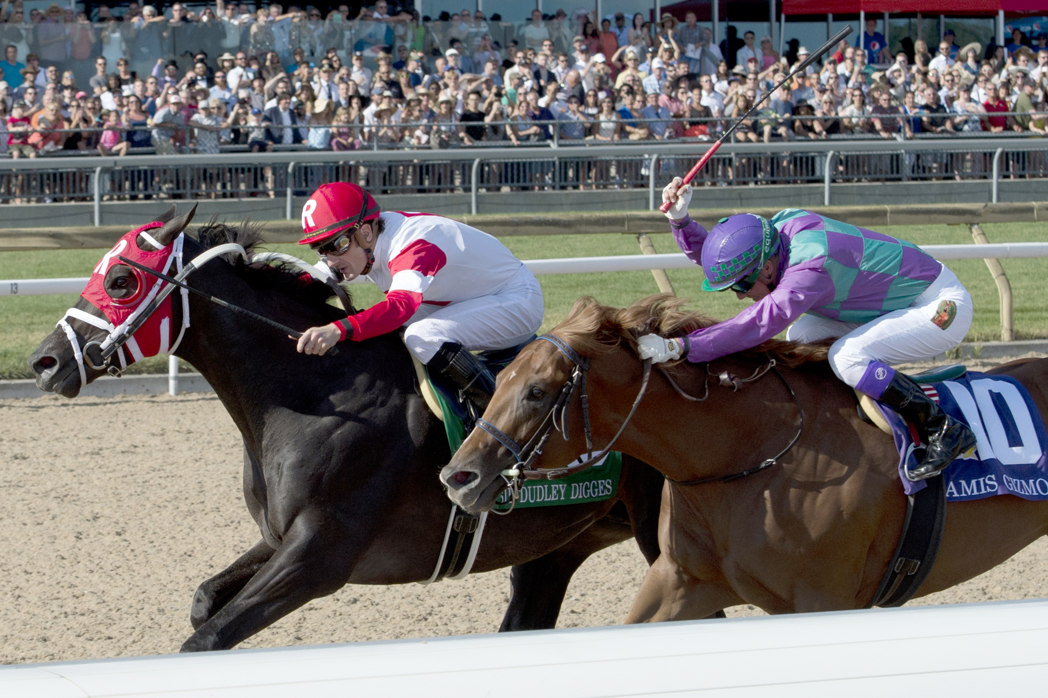 Sir Dudley Digges wins the Queen's Plate