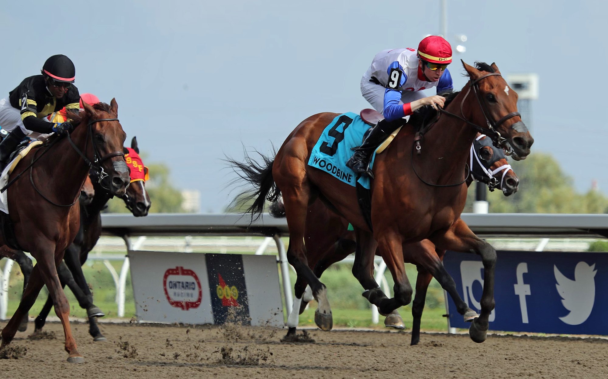 Sir for Sure wins Plate Trial 7-24-2022