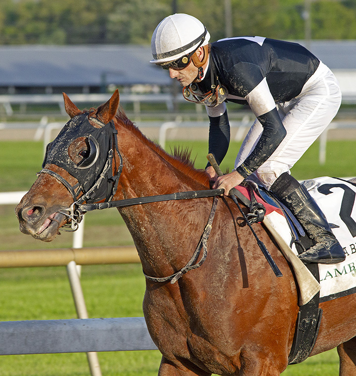 Sir Winston at Tampa Bay Downs on March 9