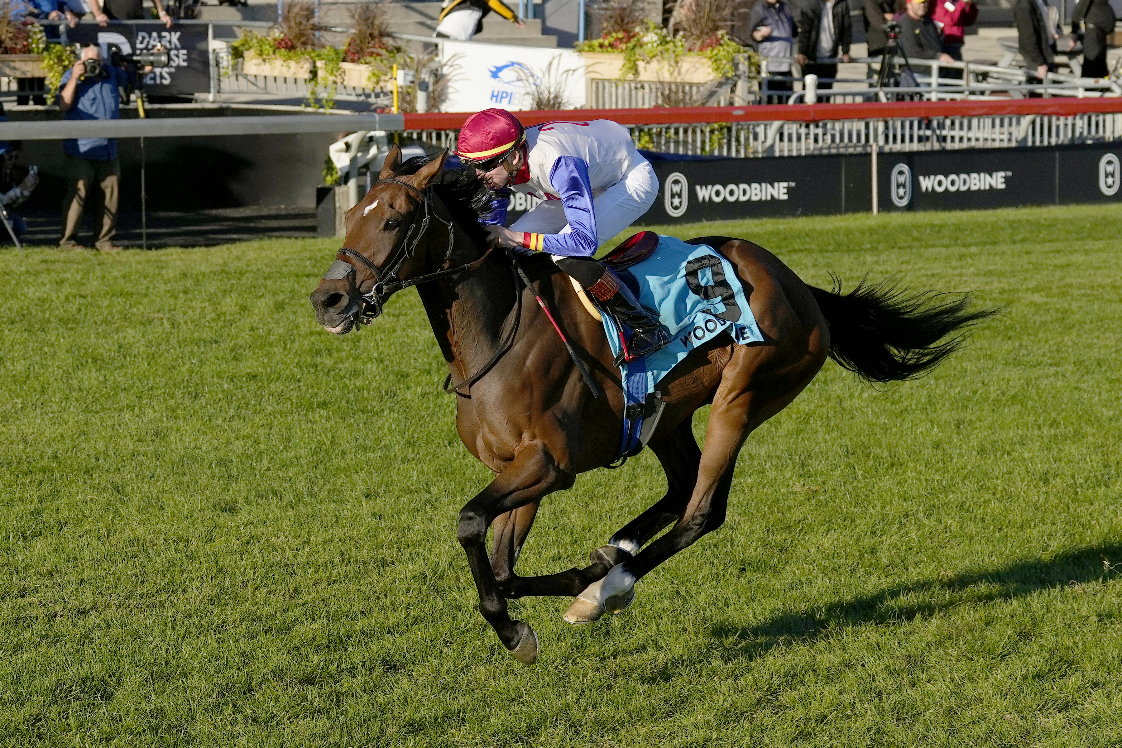 Sir for Sure - Breeders' Stakes 2022