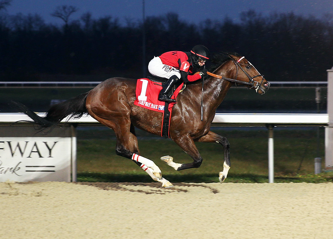 Sir Alfred James wins the 2022 Holiday Cheer Stakes at Turfway Park
