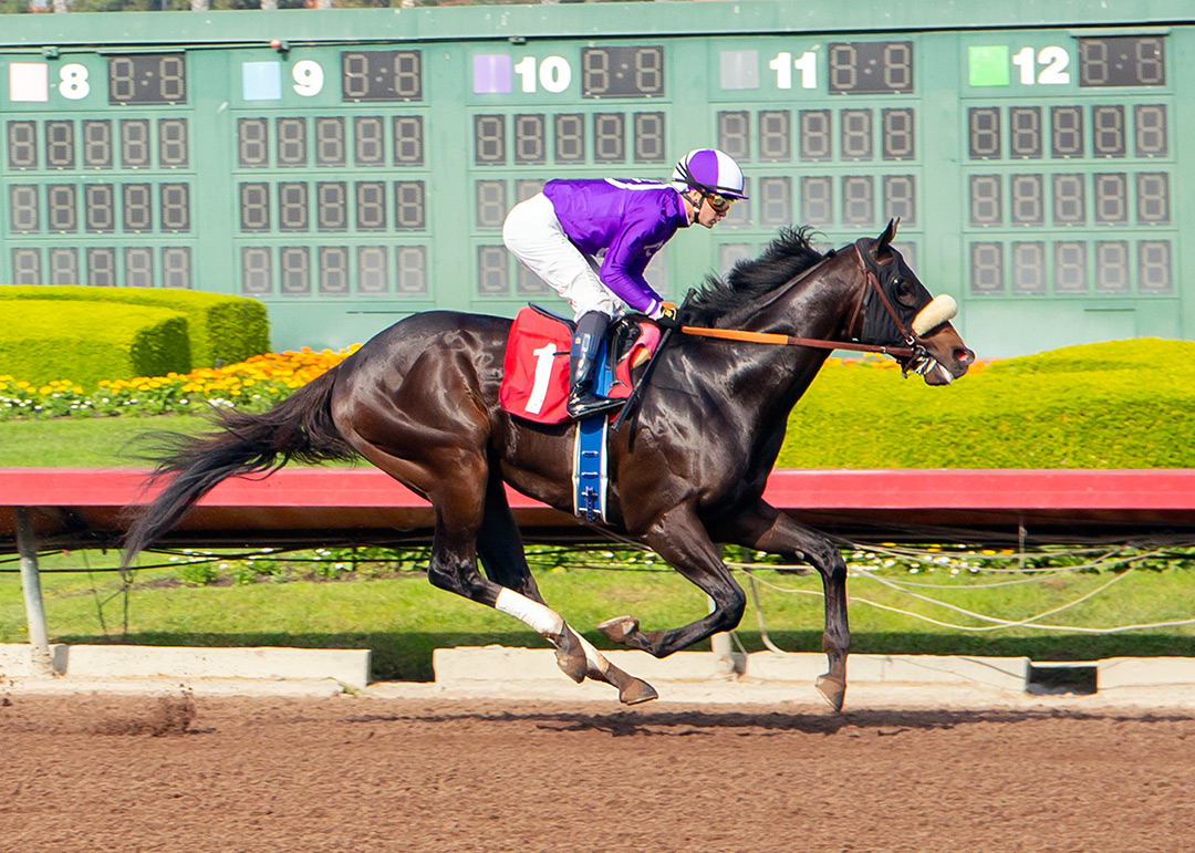 Sir London wins a Dec. 4 maiden at Los Alamitos Race Course