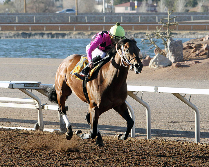 Sir Rick wins the 2020 Mine That Bird Derby at Sunland Park
