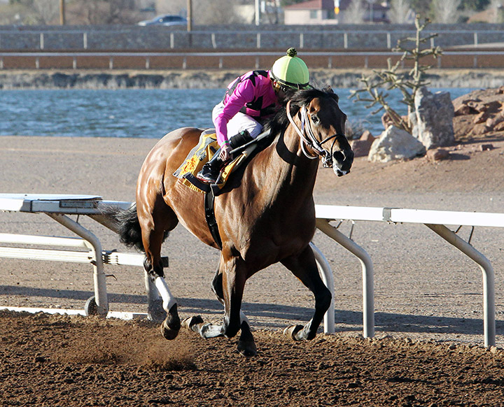Sir Rick wins the 2020 Mine That Bird Derby at Sunland Park
