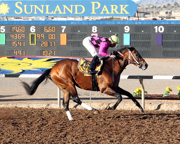 Sir Rick wins the 2020 Mine That Bird Derby at Sunland Park