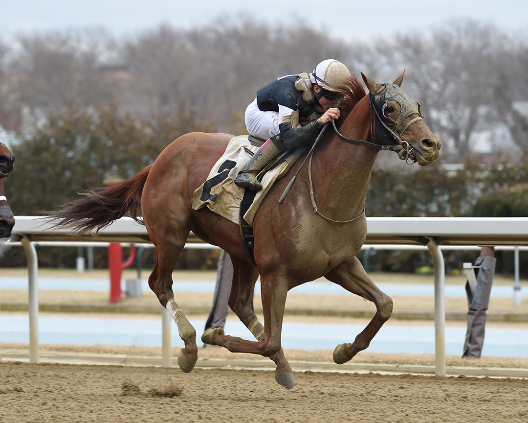 Sir Winston wins a January 2020 allowance race at Aqueduct
