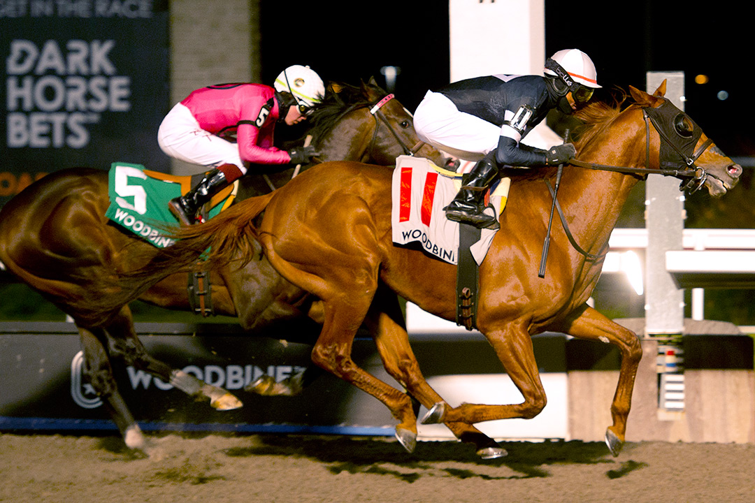 Sir Winston wins the 2021 Valedictory Stakes at Woodbine