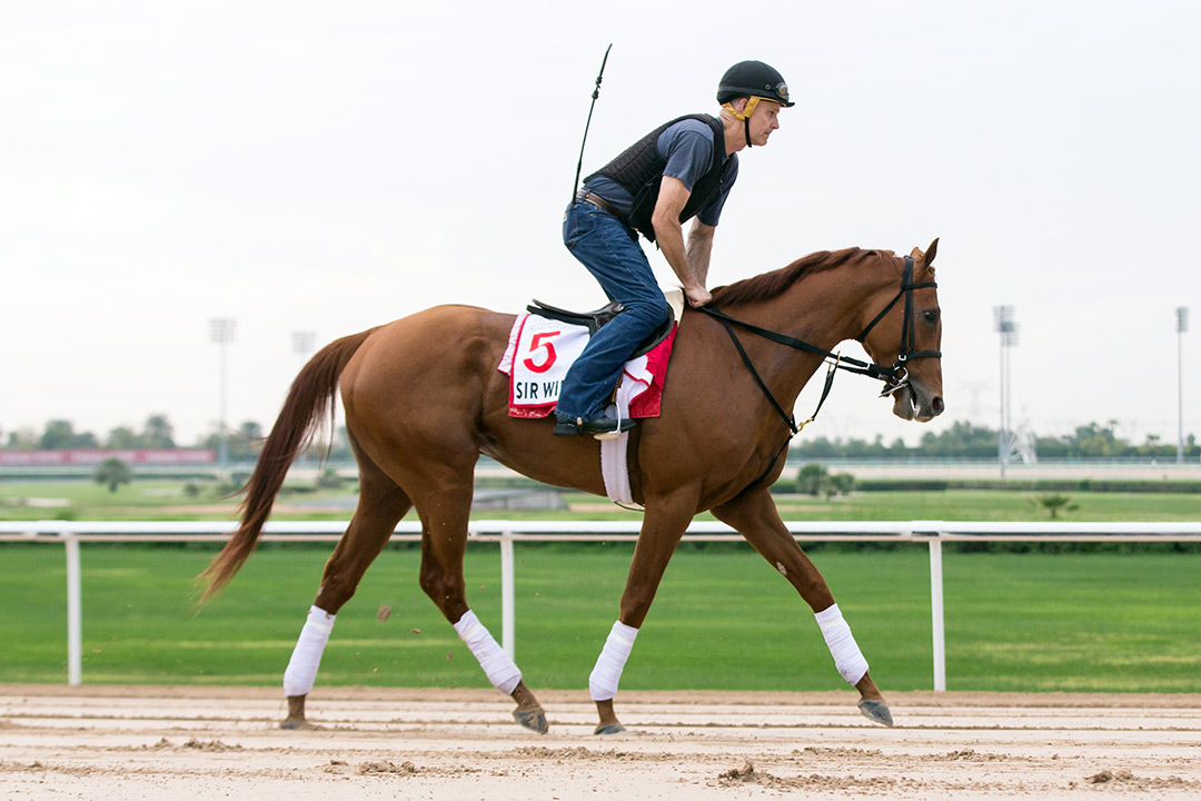 Sir Winston at Meydan Racecourse in March 2020