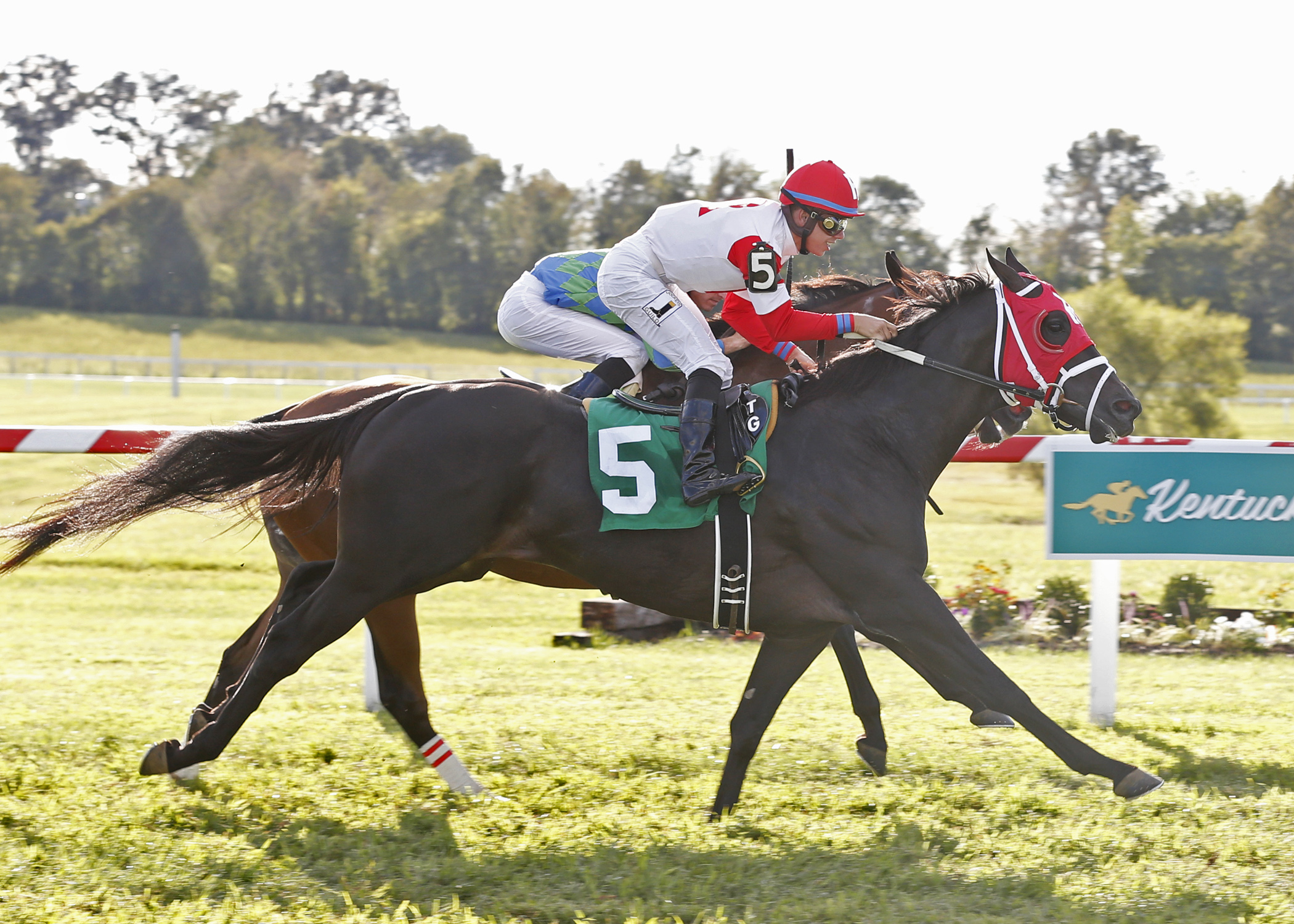 Sir Dudley Digges (outside) wins the Old Friends Stakes 9.7.17