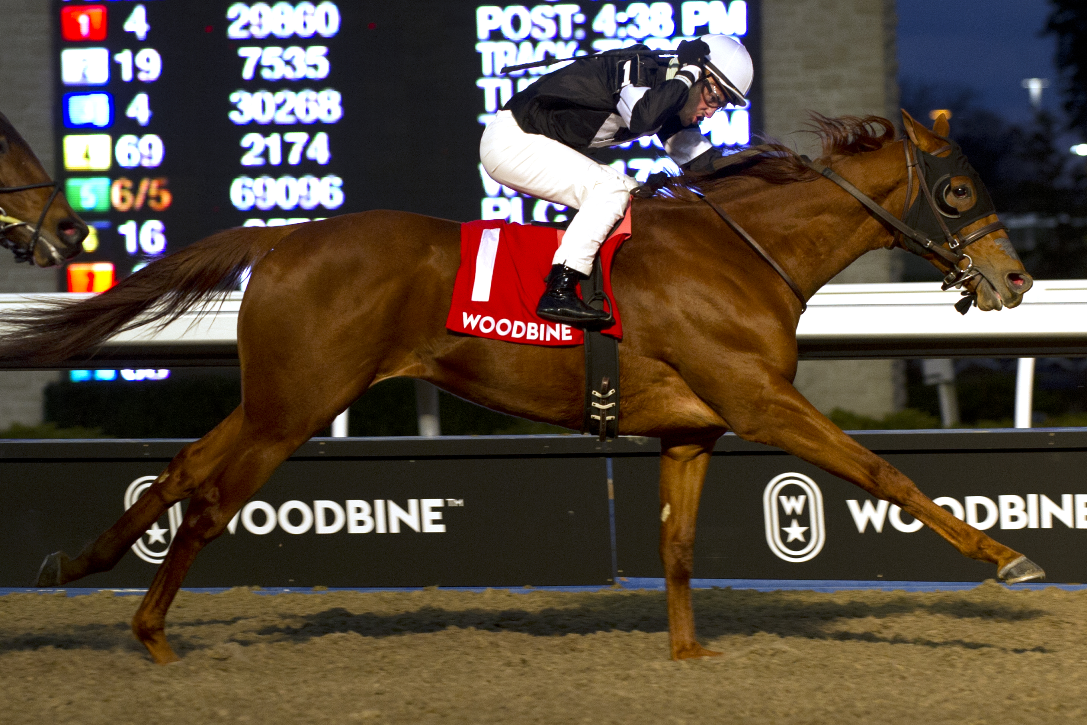 Sir Winston wins the 2018 Display Stakes