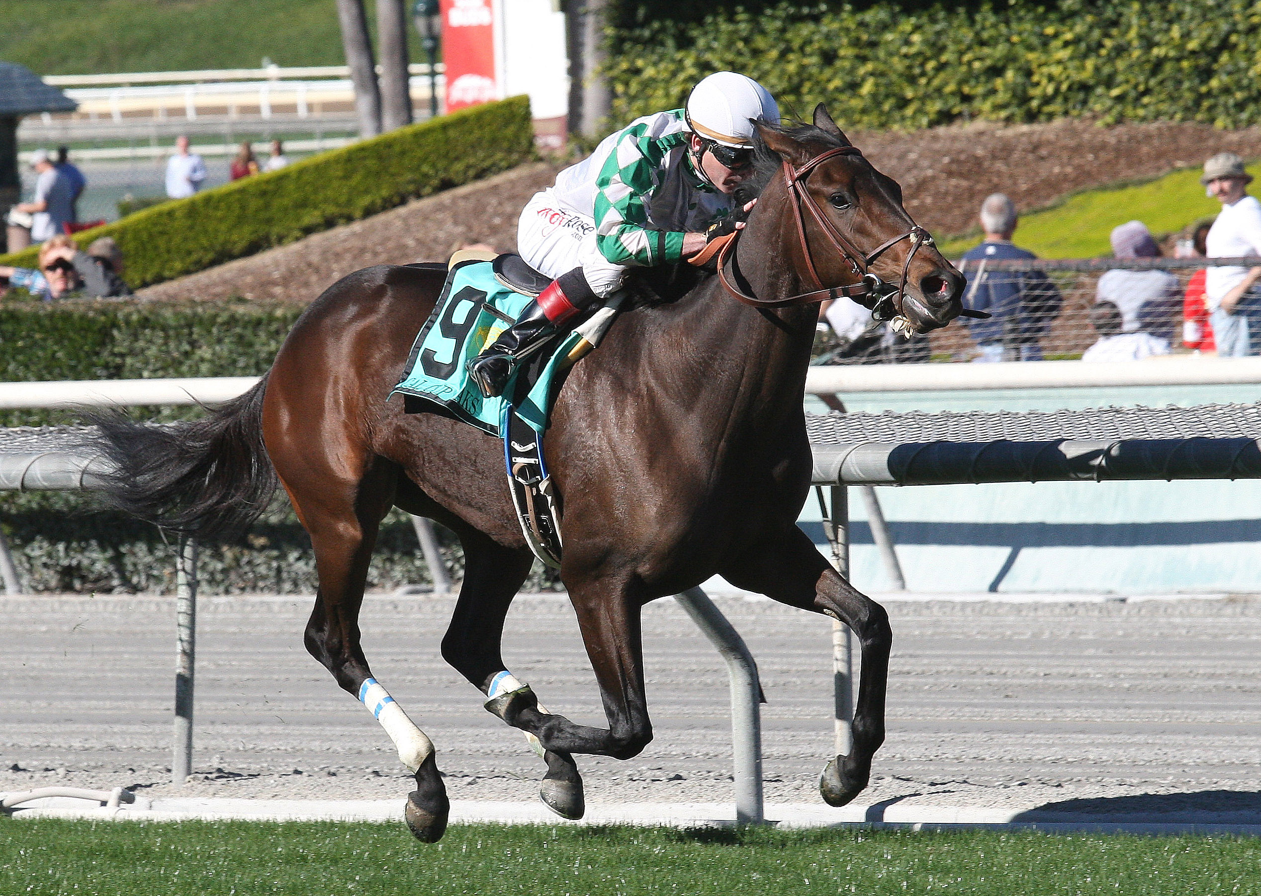 Sircat Salley wins the California Cup Oaks
