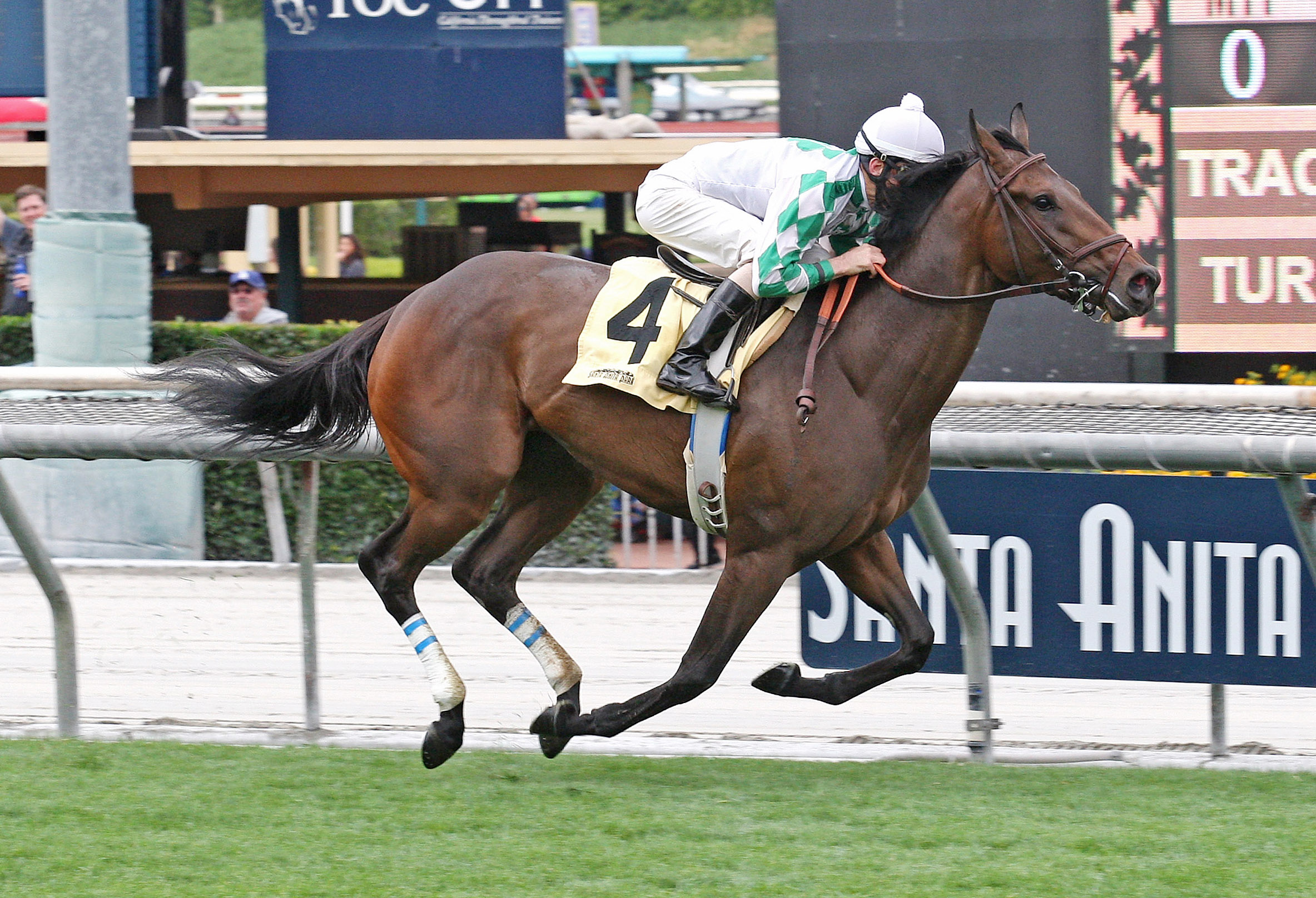 Sircat Sally wins the Senorita Stakes