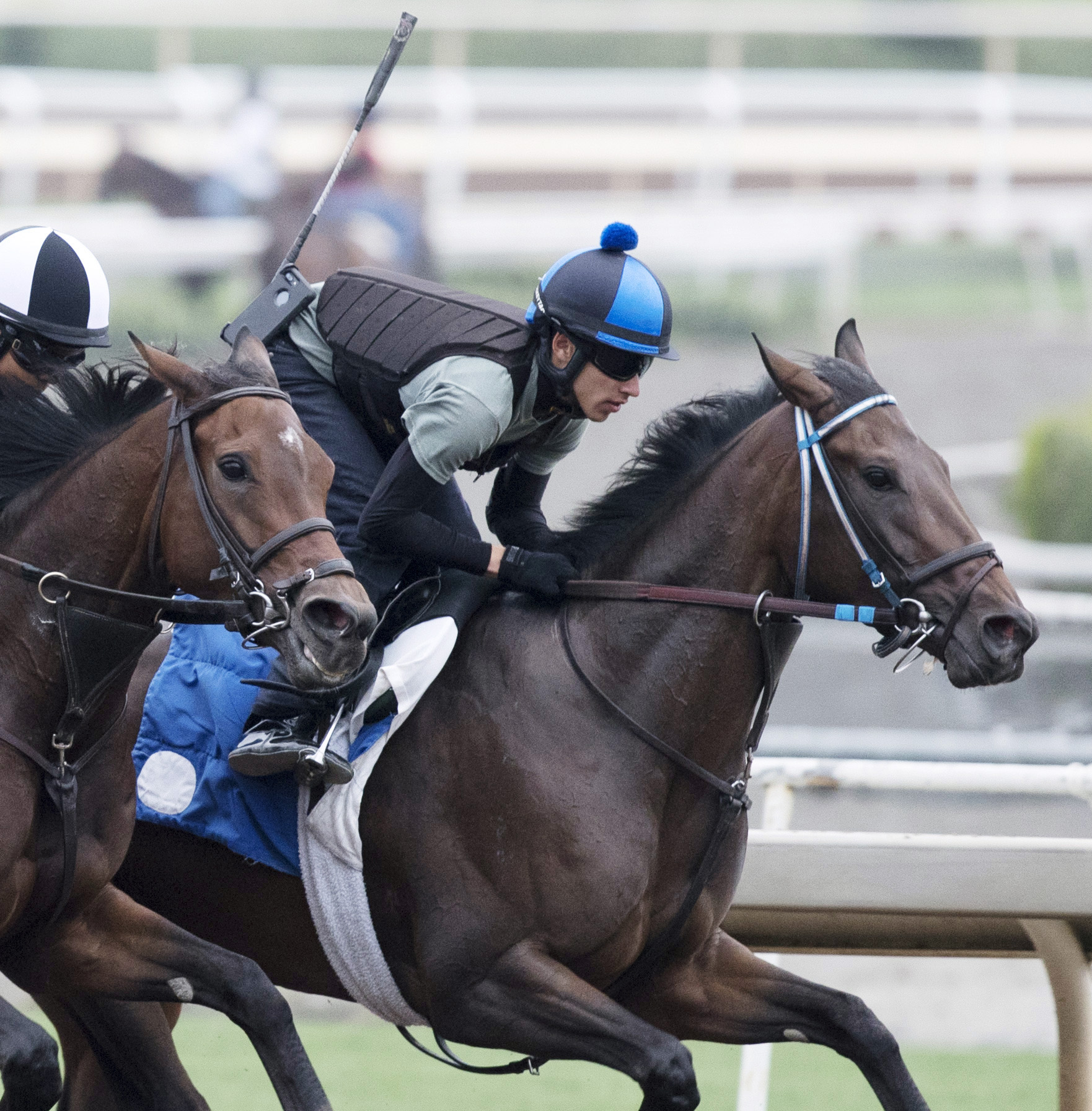 Sircat Sally trains at Santa Anita on July 2, 2017