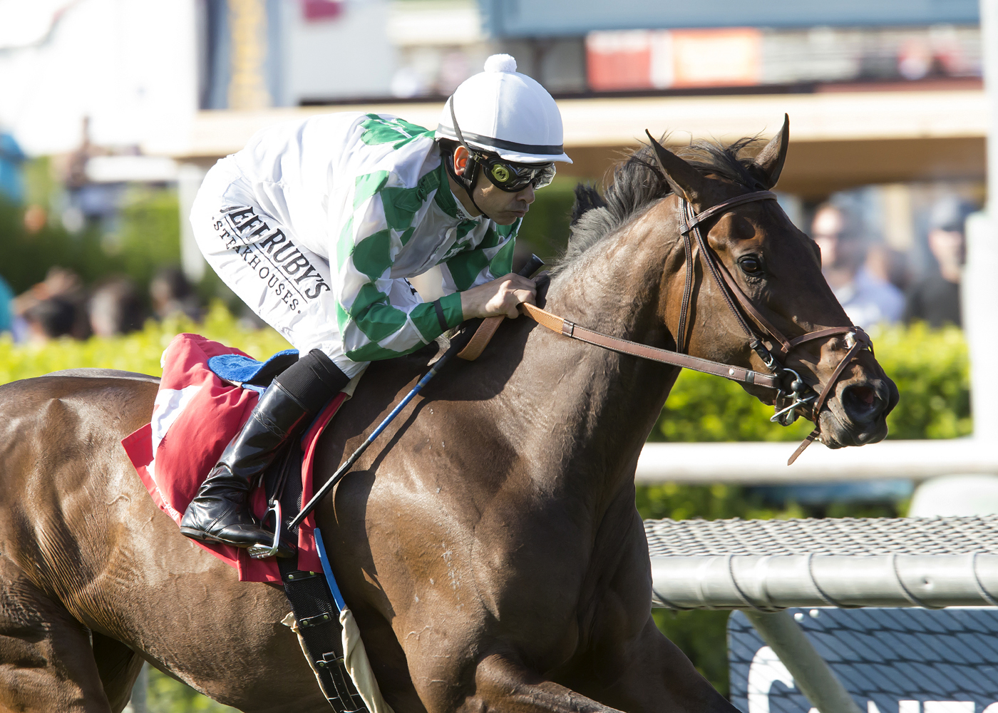 Sircat Sally wins the Providencia Stakes