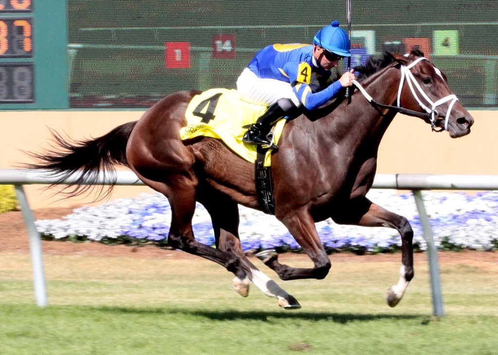 Sirenusa wins the 2018 Ta Wee Stakes