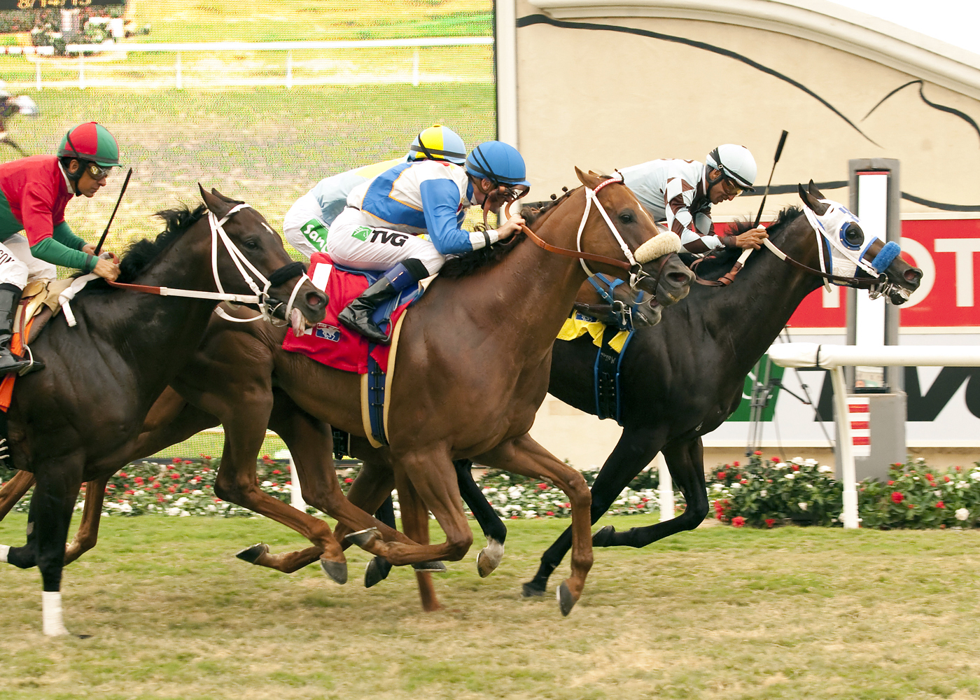 Distinctiv Passion, Sirocco Strike, Green Flash