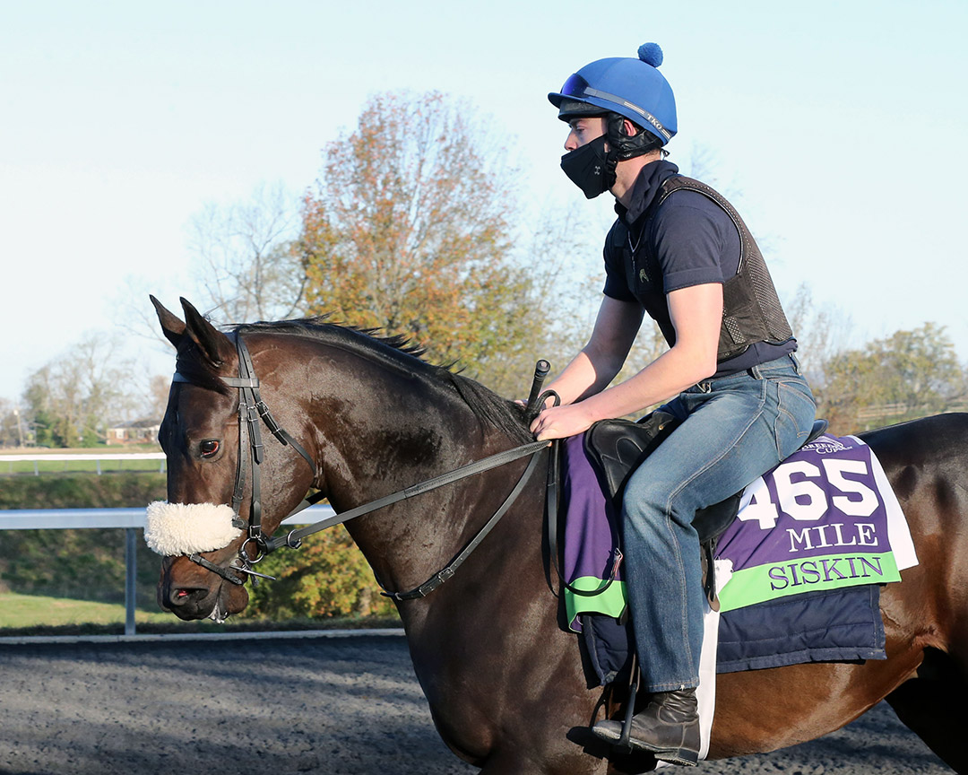 Siskin at Keeneland Racecourse on Nov. 3