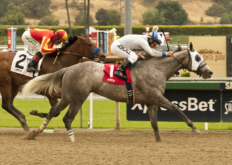 Sister Kate 4-14-2013