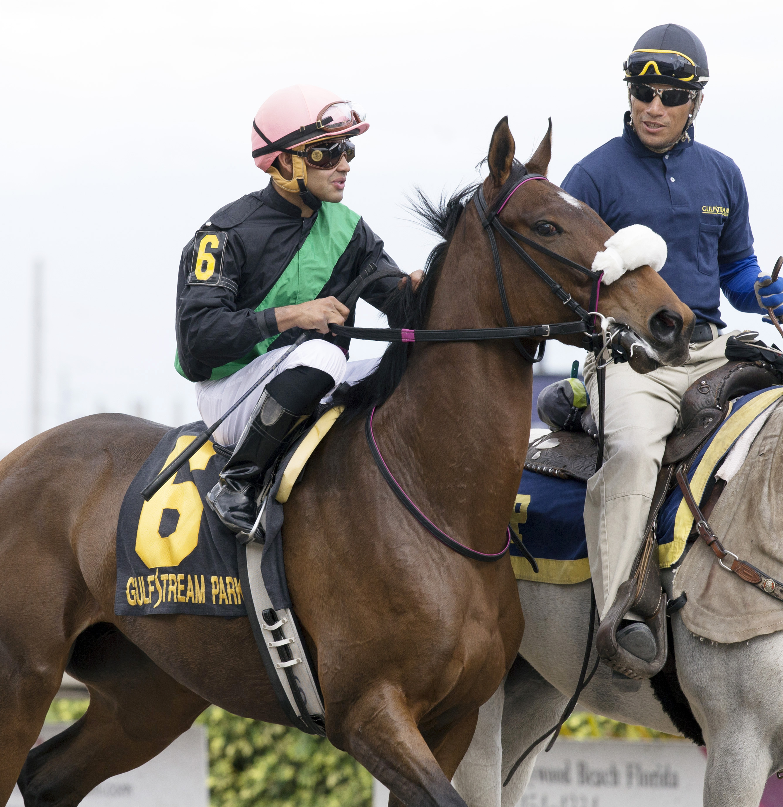 Sister Nation at the Old Hat Stakes