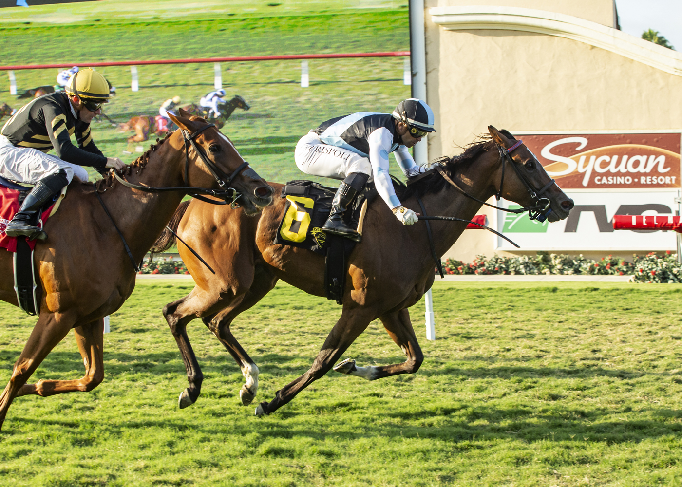 Sister Otoole/CTT and TOC Stakes