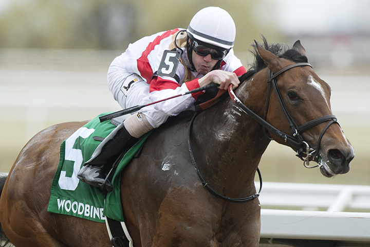 Sister Peacock wins the 2019 Star Shoot Stakes