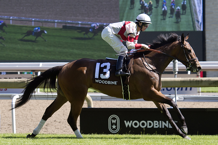Sister Peacock wins the 2019 William Graham Memorial