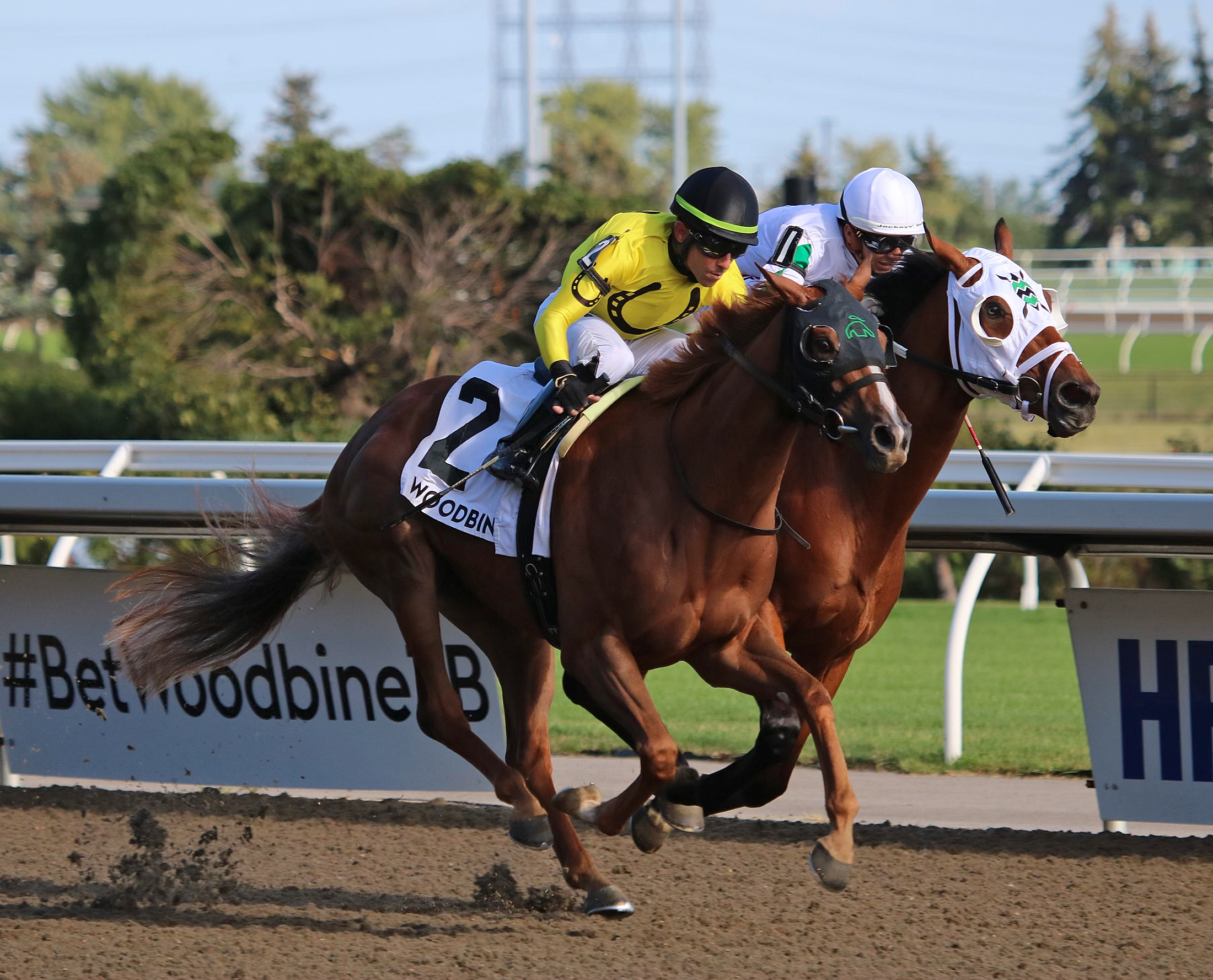 Sister Seagull (foreground) beats Strega in the Bison City at Woodbine Aug 14 2022