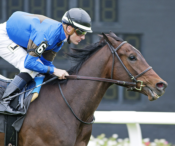Sister Sunday wins a March 10 maiden race
