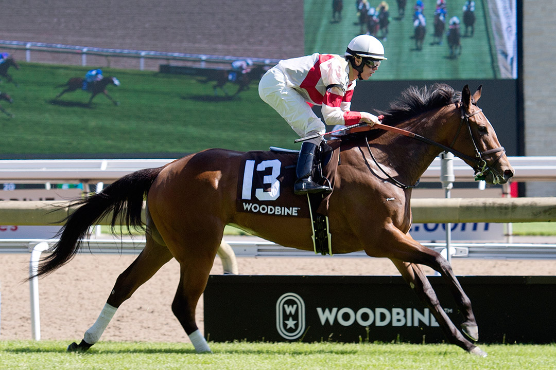 Sister Peacock wins the 2019 William D. Graham Memorial Stakes at Woodbine