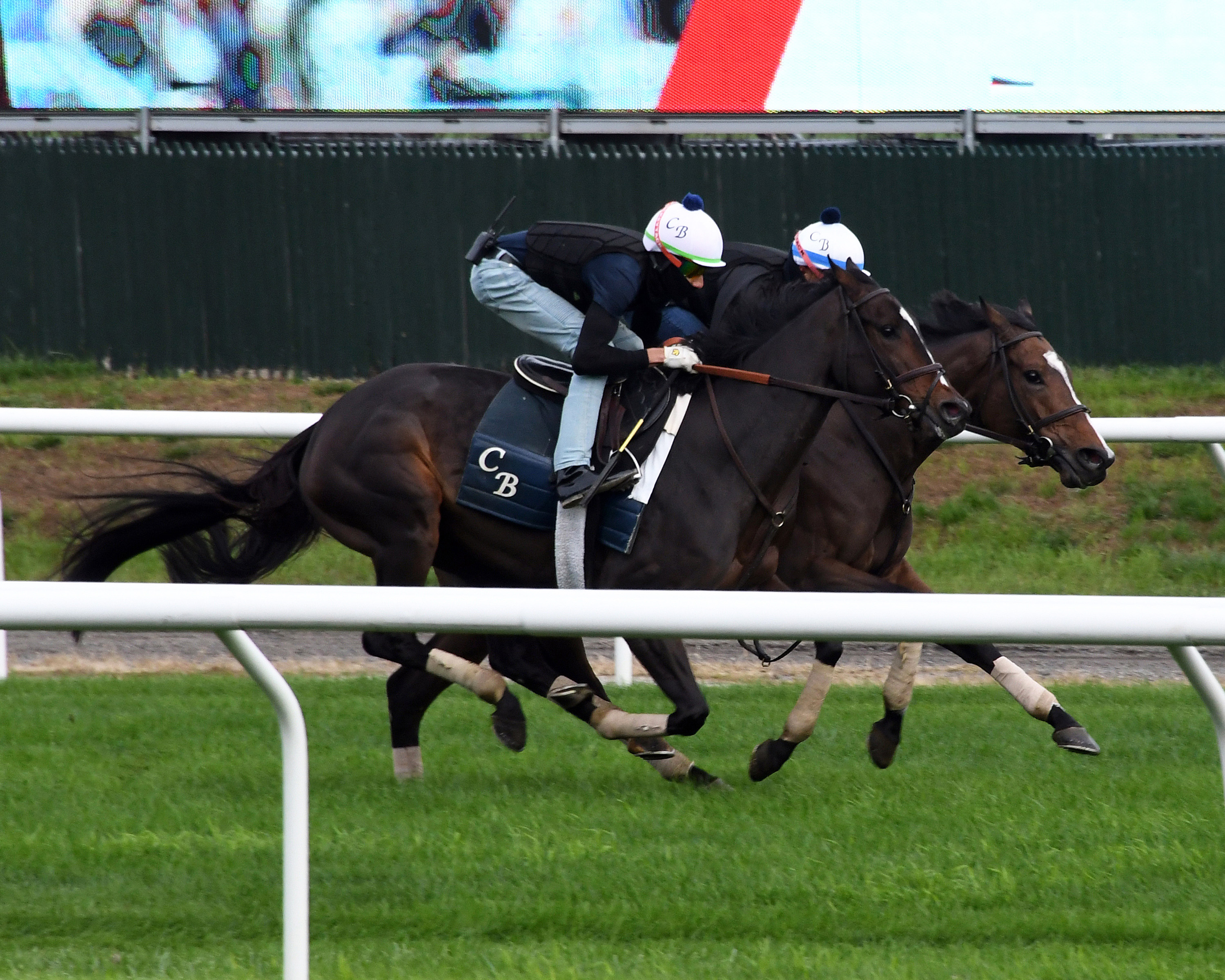 Rushing Fall, Sistercharlie in final BC works 11-01-2020