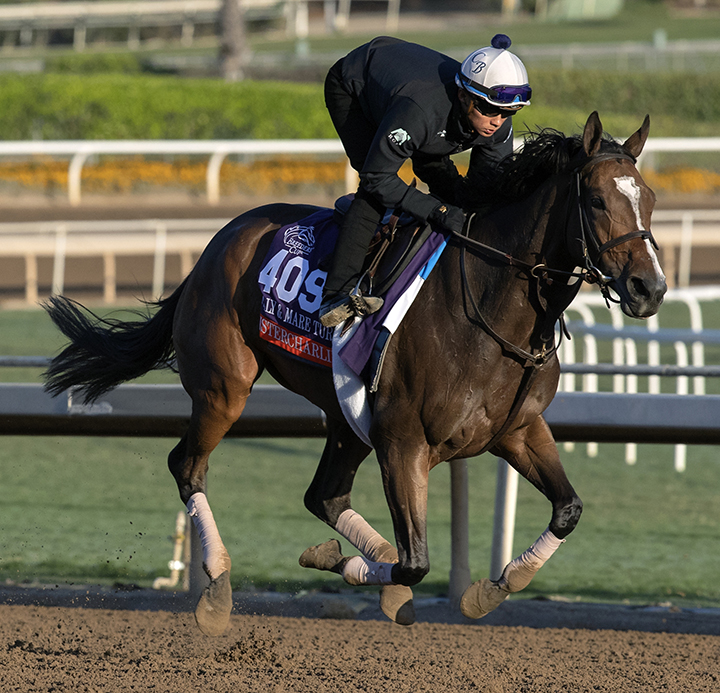 Sistercharlie trains at Santa Anita Park on Oct. 29