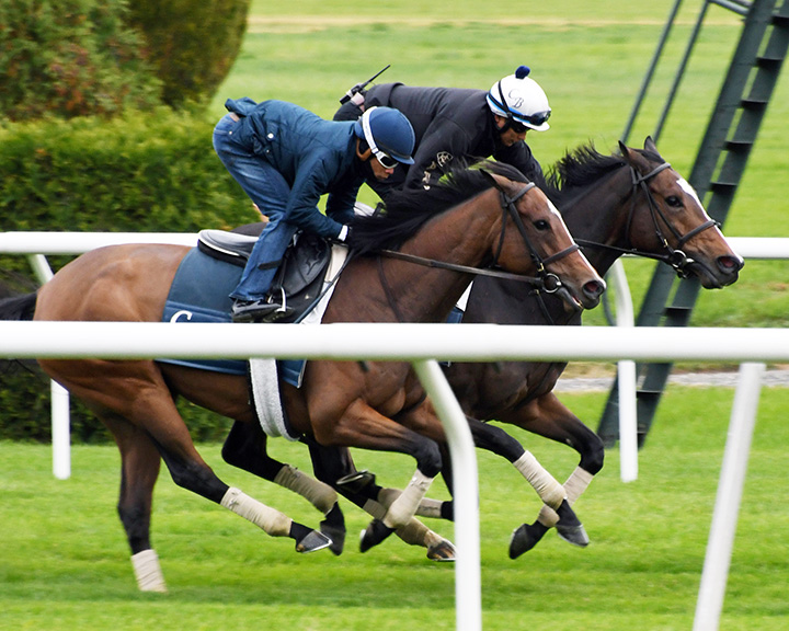 Sistercharlie and Thais train at Belmont Park on Oct. 26