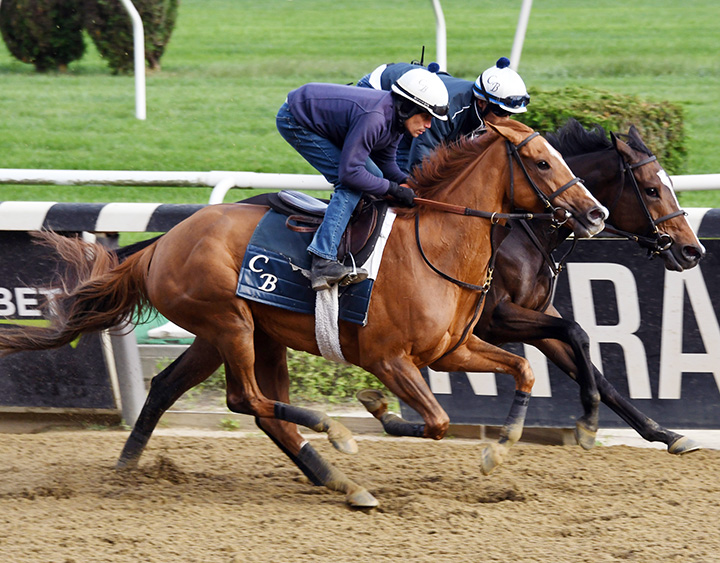 Sistercharlie works with Uni at Belmont on Oct. 14