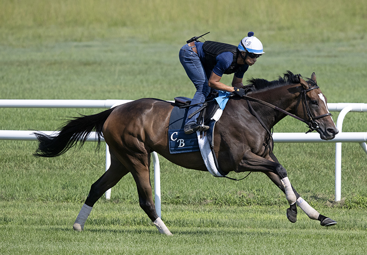 Sistercharlie trains at Saratoga Race Course on July 28