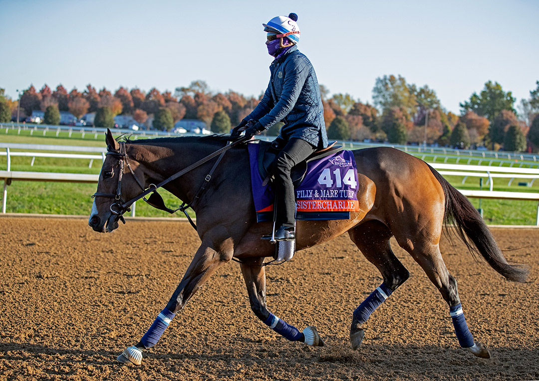 Sistercharlie at Keeneland Racecourse on Nov 3