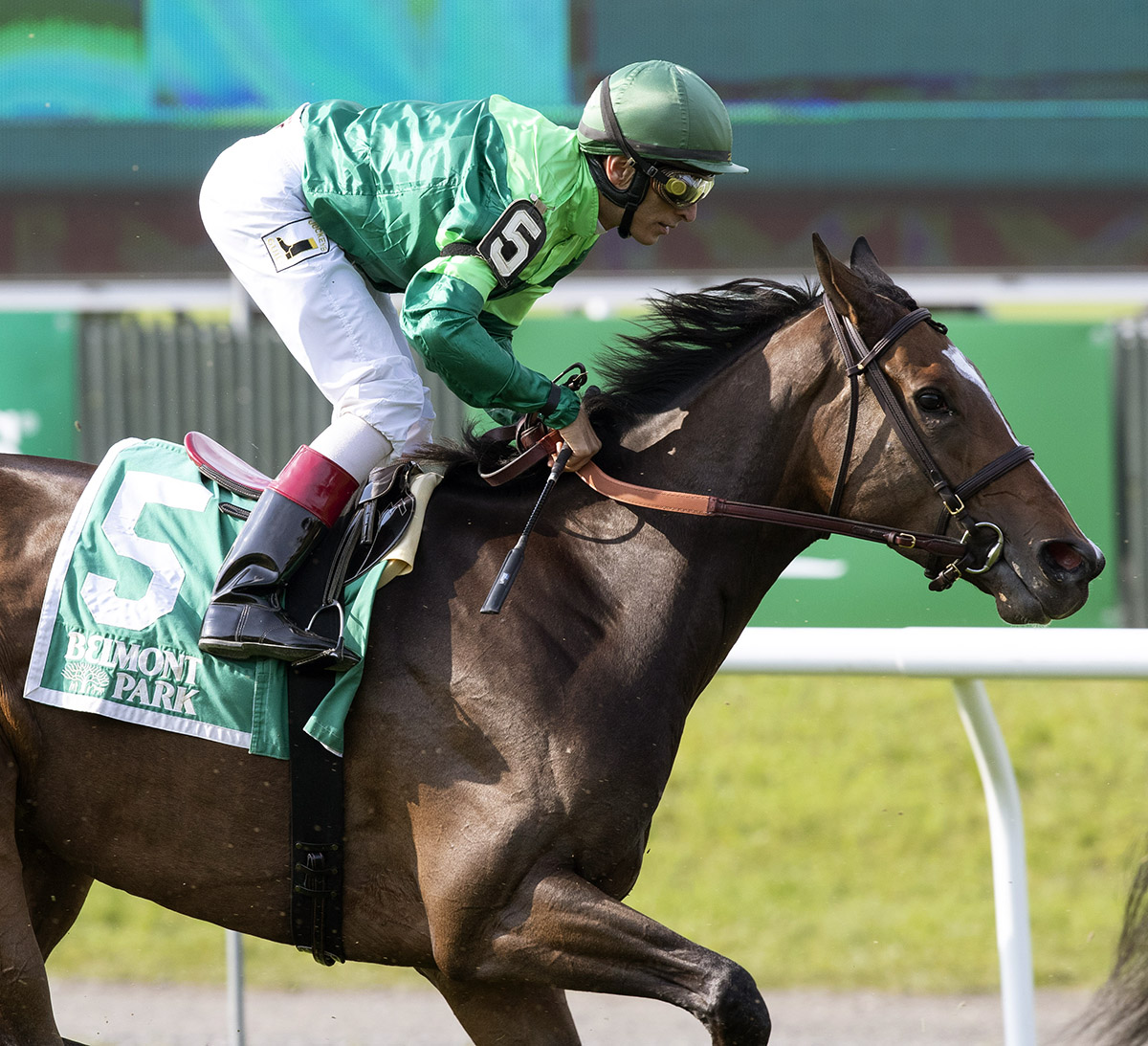 Sistercharlie finishes second in the 2018 New York Stakes