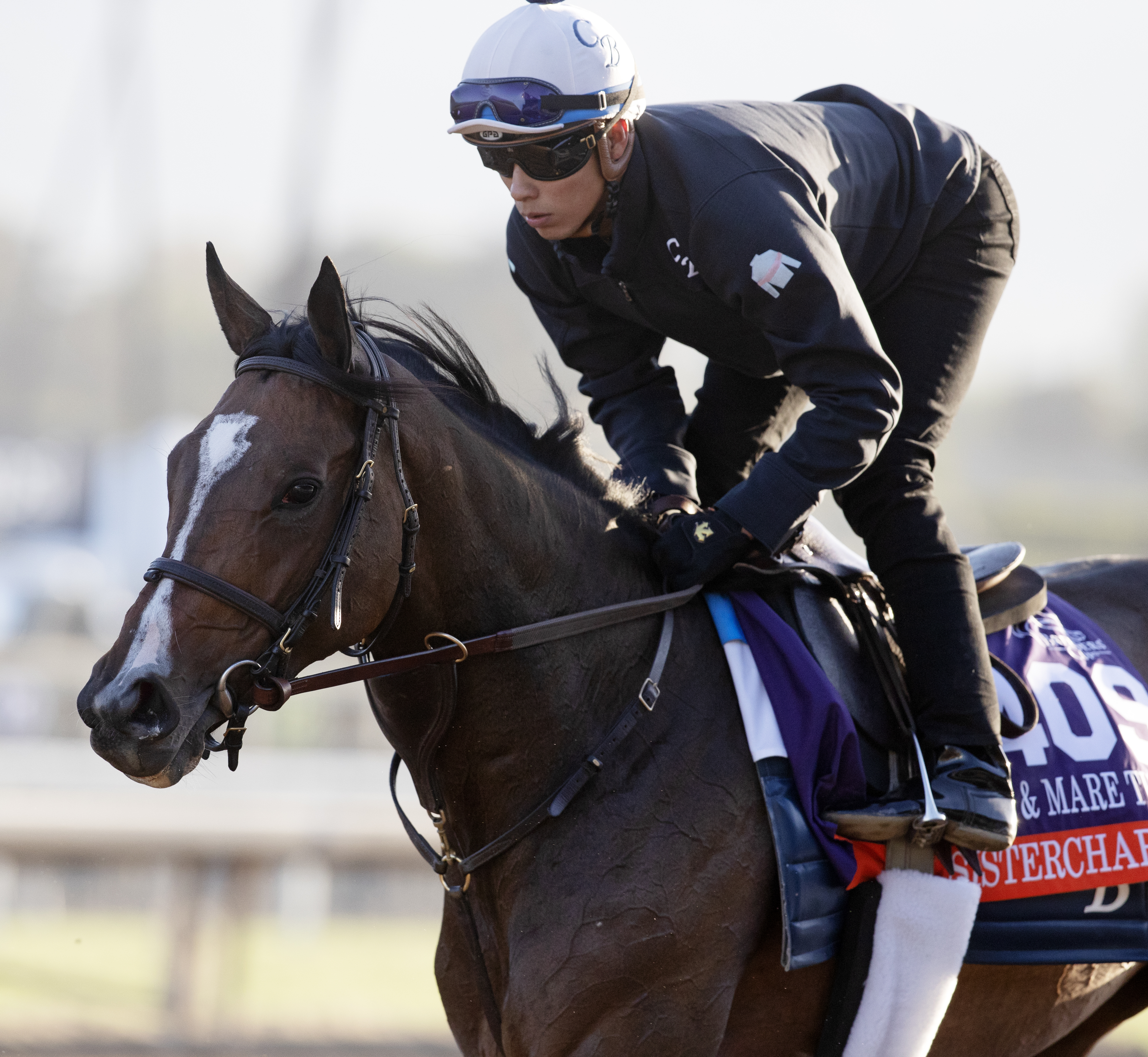 Sistercharlie trains at Santa Anita on 10.29.19