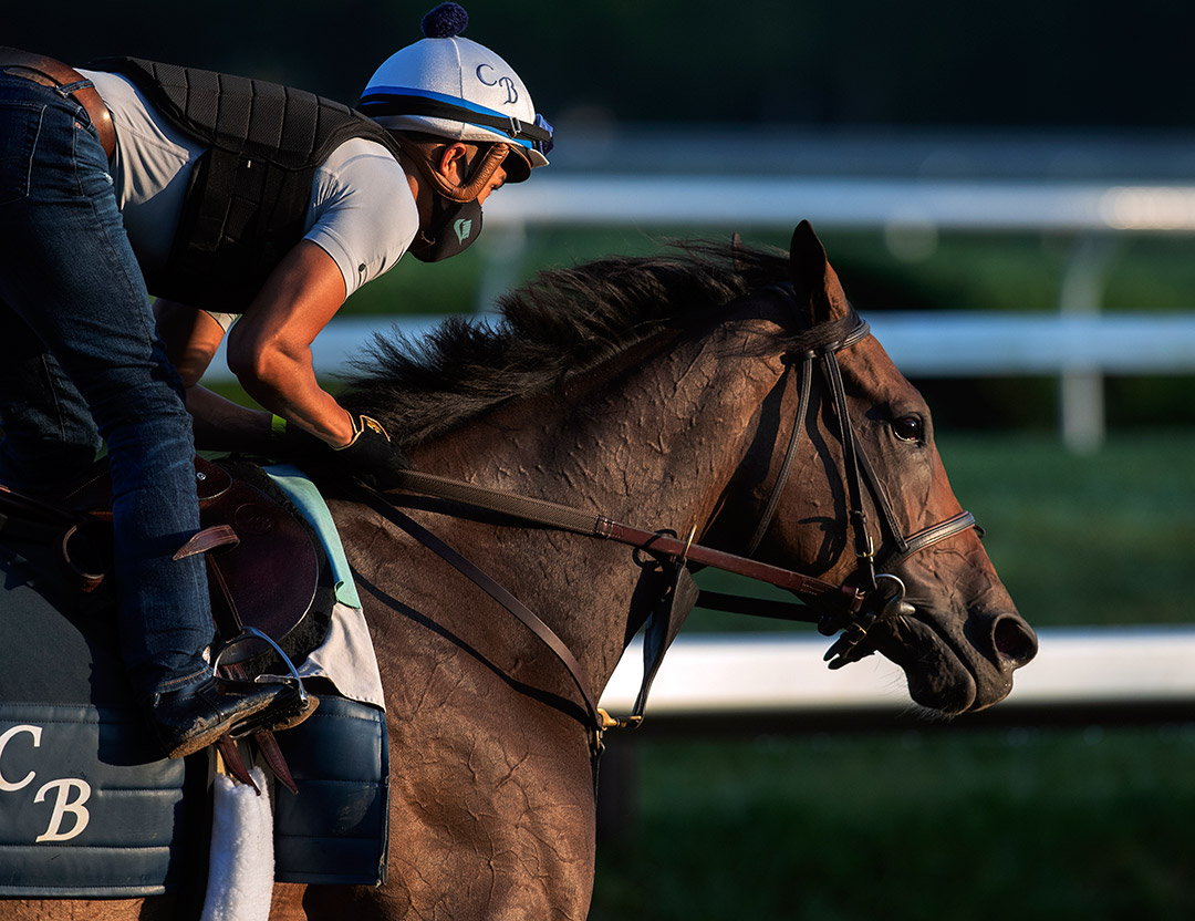 Sistercharlie trains at Saratoga Race Course on July 15