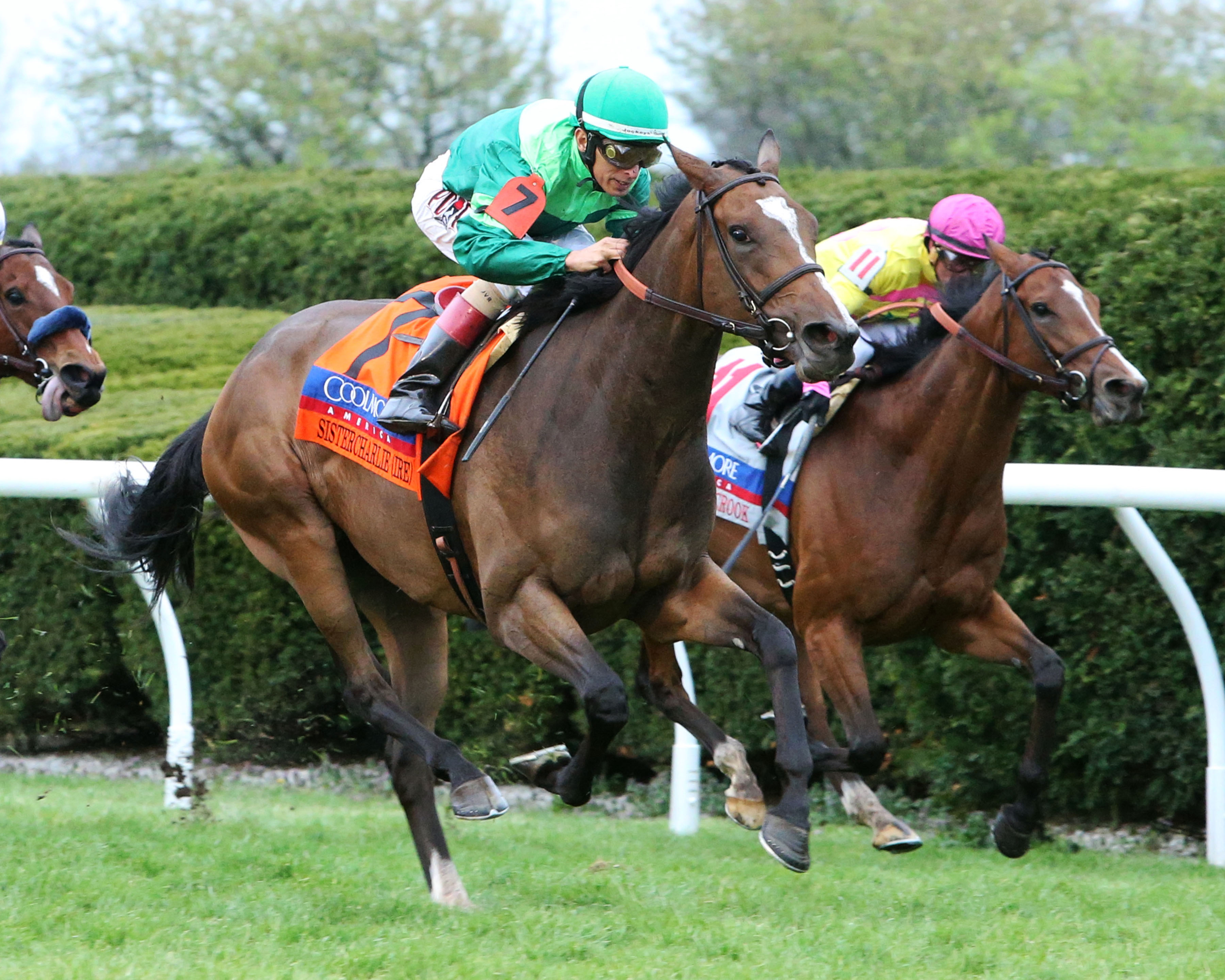 Sistercharlie wins the 2018 Jenny Wiley