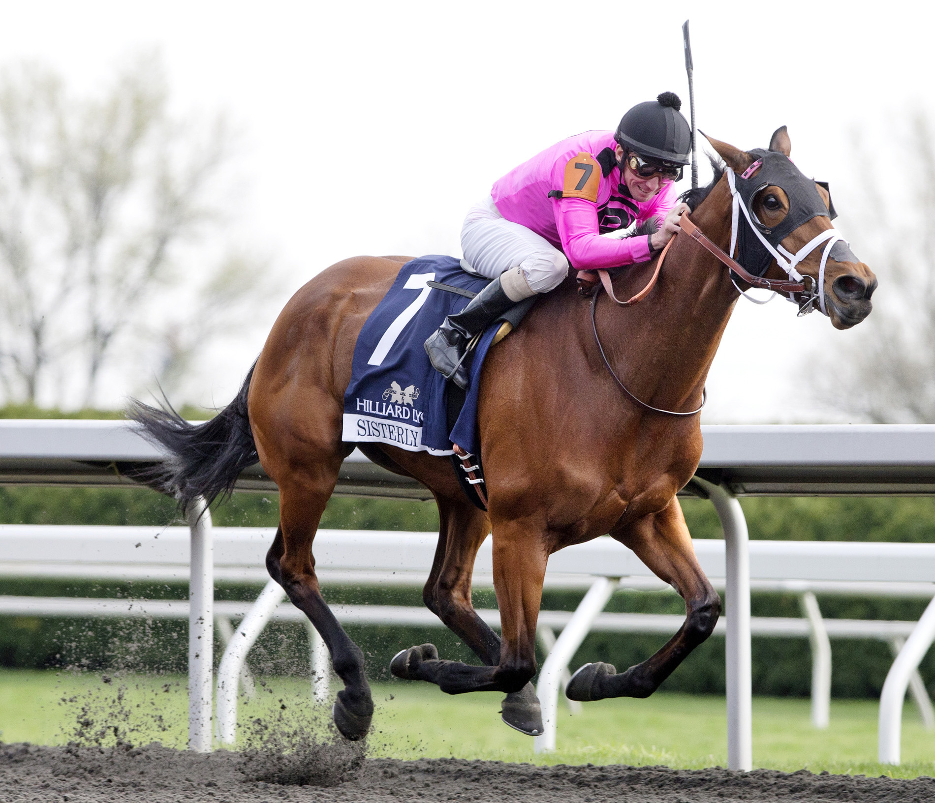 Sisterly Love wins the Doubledogdare