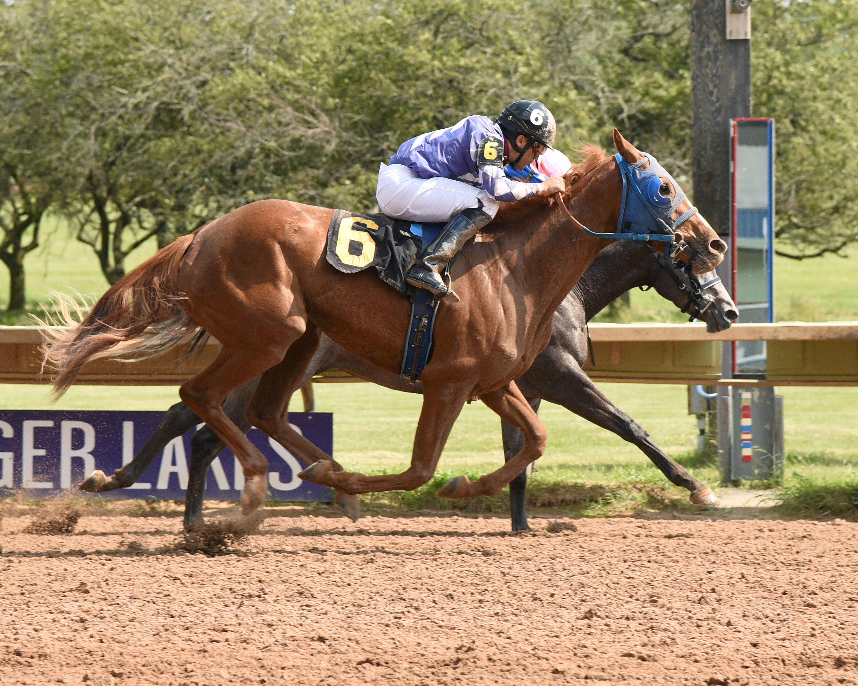 Sisters For Ever wins a maiden claiming race at Finger Lakes