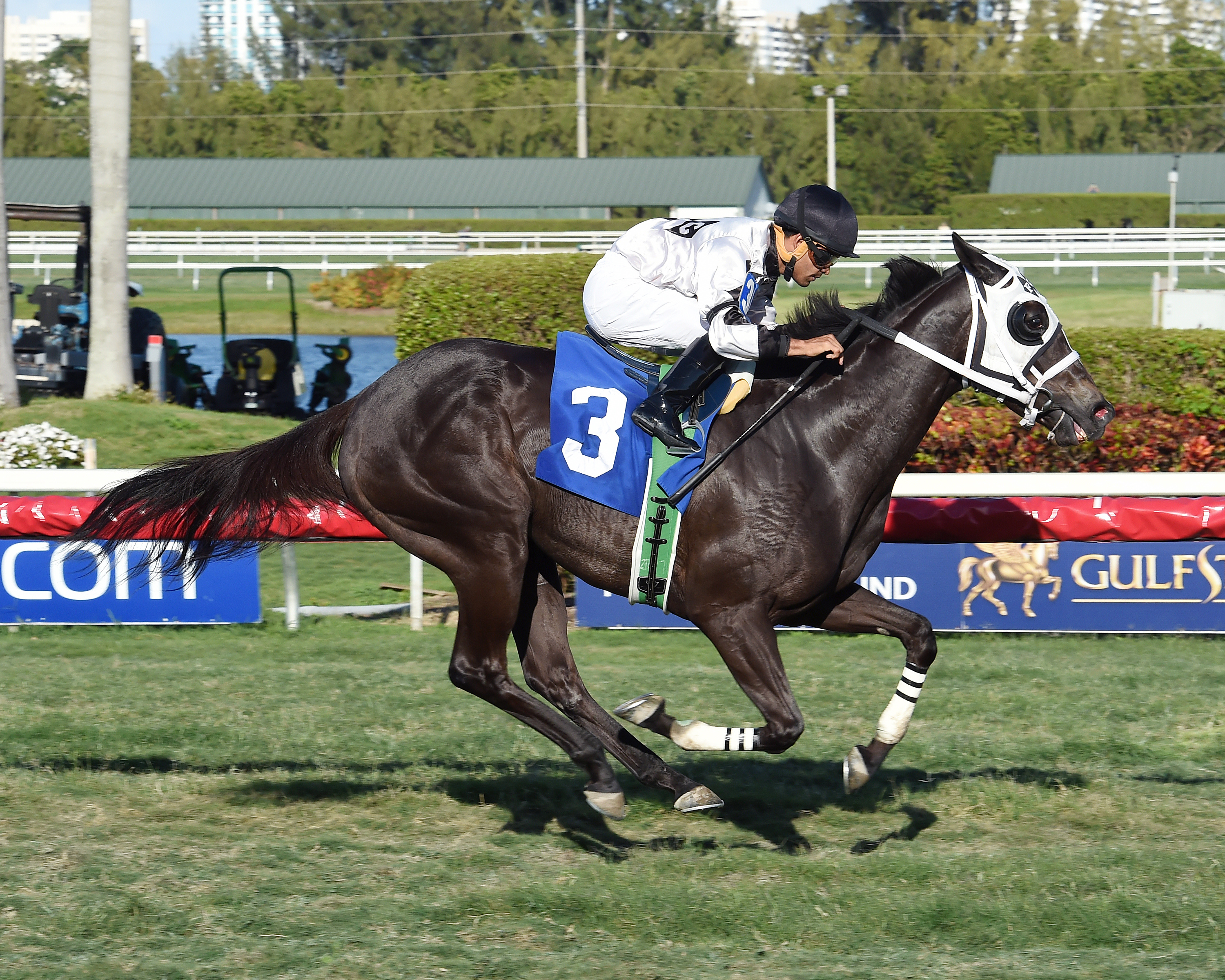 Luis Saez gets his 100th win aboard Sistine Sista