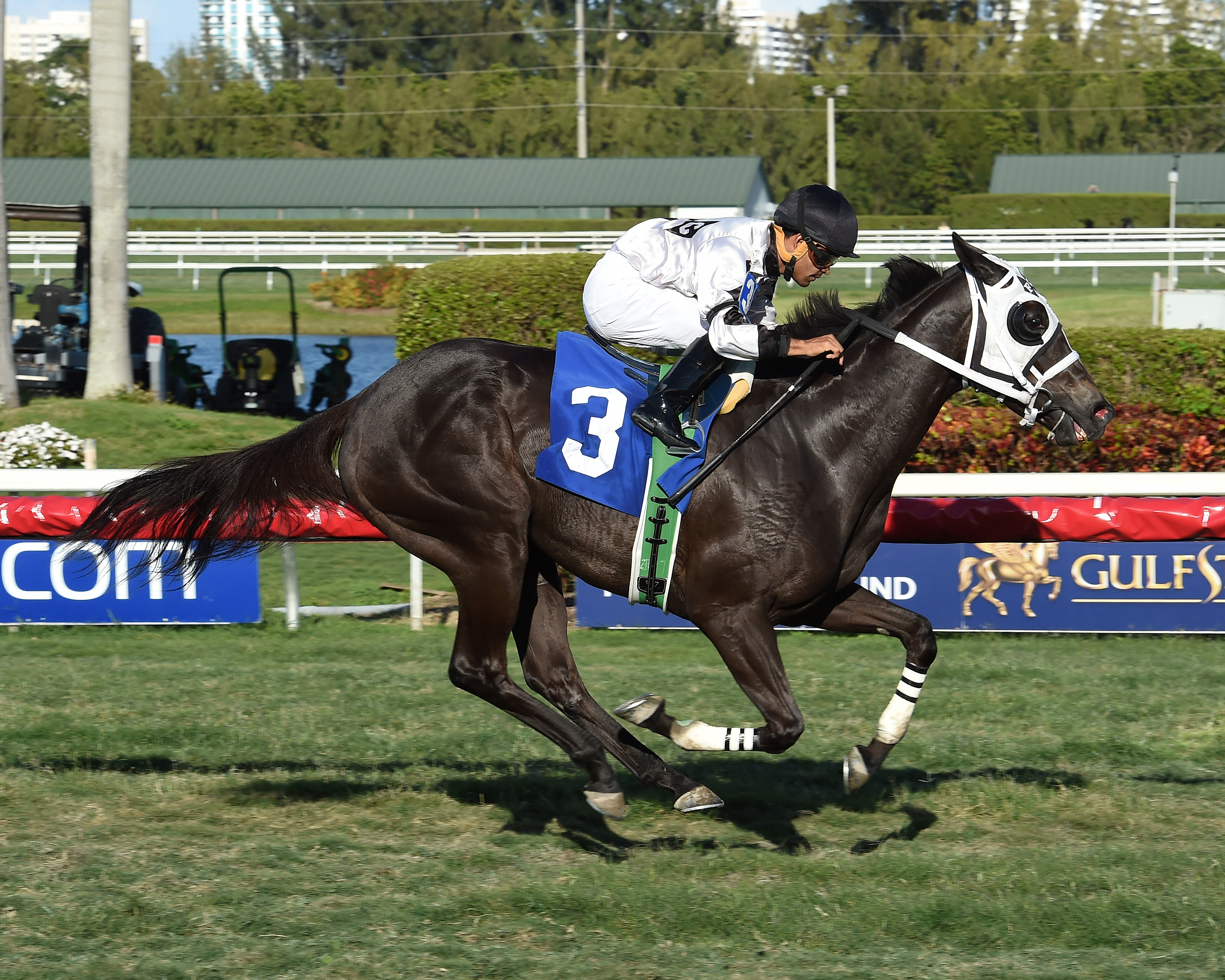 Sistine Sista wins a maiden race at Gulfstream on March 30, 2017