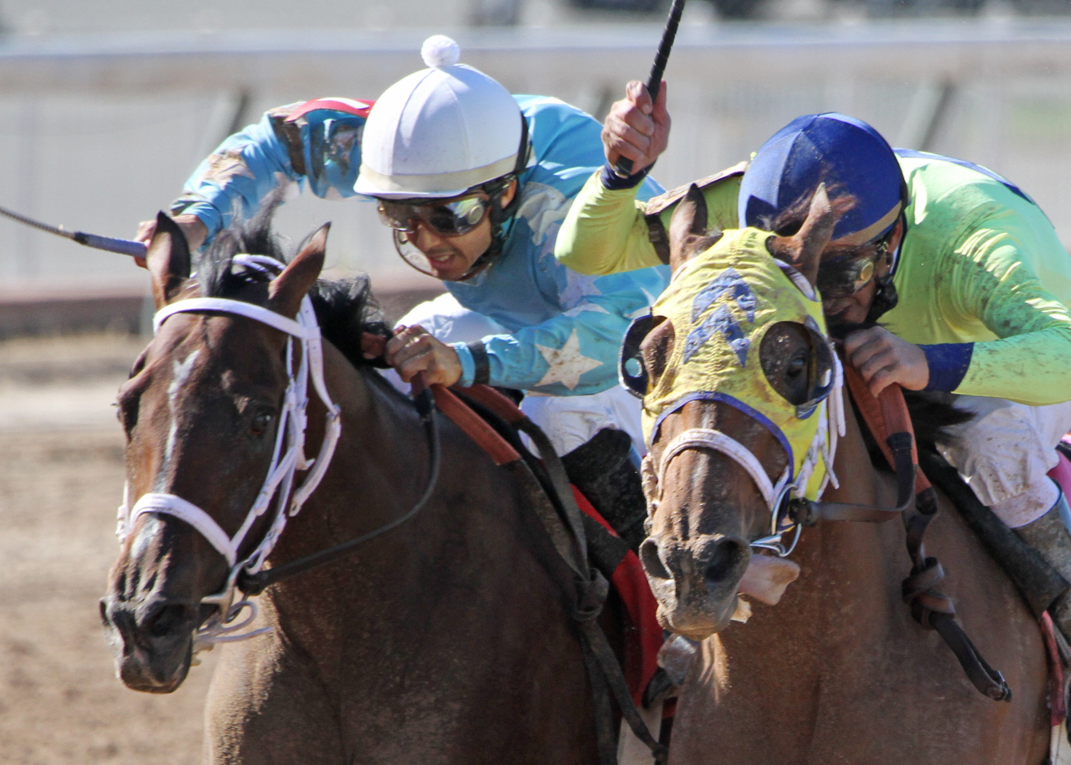 Sittin At the Bar (right), Kisses for Carrots dead heat in Elge Rasberry