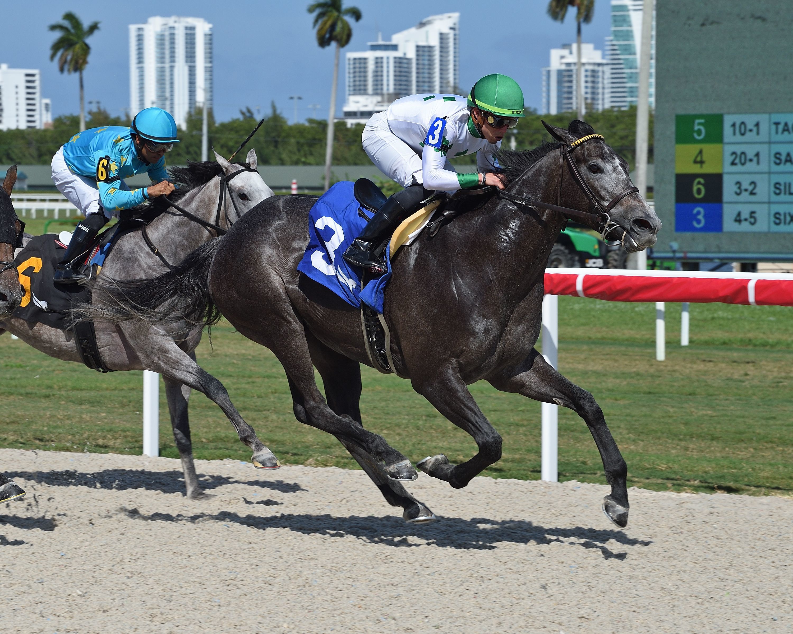 Six Feet Apart wins a Gulfstream starter allowance on March 11 2022