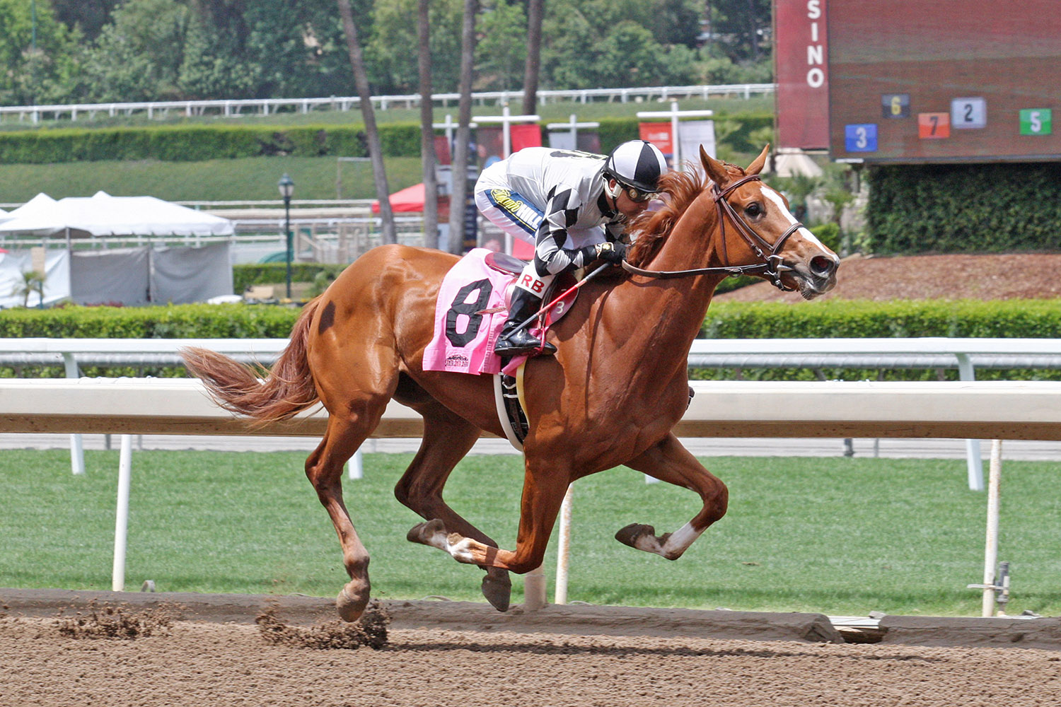 Six Pack Gal wins a May 17 maiden race