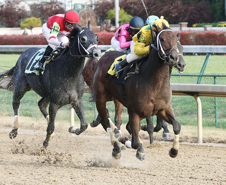 Six Shooter wins a CD allowance on 11.25.18